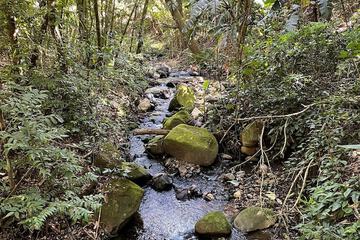 Hiking