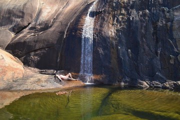 Natural pool