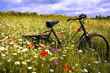Bicycling
