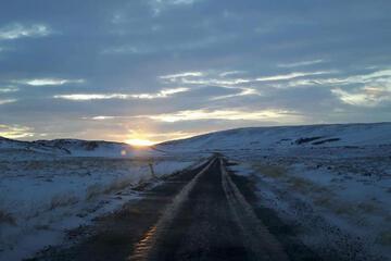 Photo 44
