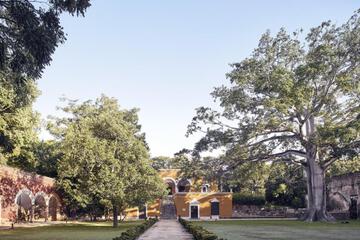 Photo 29