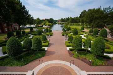 Terrace/Patio 151 of 166