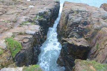 Photo 26