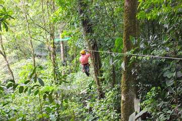 Ecotours