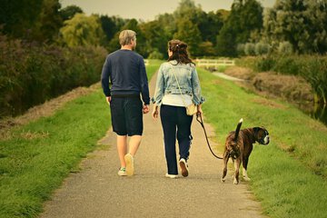 Pet-friendly