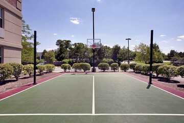 Basketball court