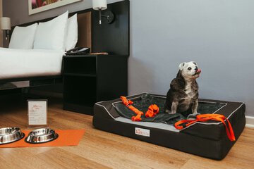 Room amenity
