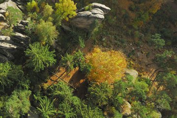 Hiking