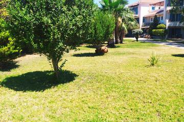 Photo 51