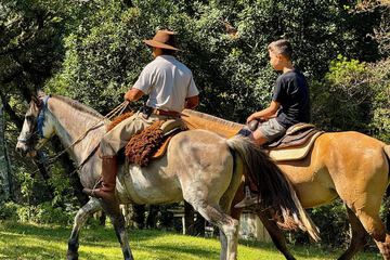 Horseback riding
