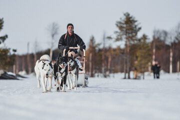 Sledding