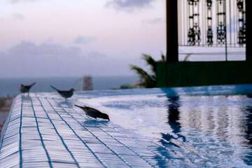 Infinity pool