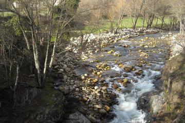 Photo 31