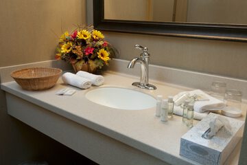 Bathroom sink