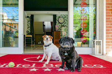 Pet-friendly