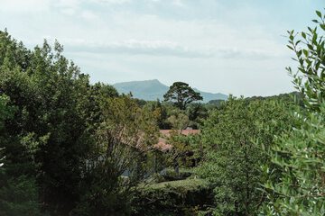 Hiking