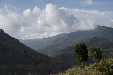Hiking