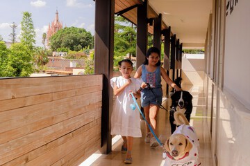 Pet-friendly