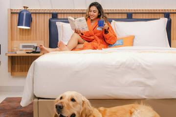 Pet-friendly