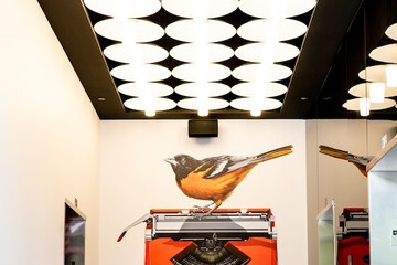 Hotel Interior 18 of 75