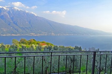 Land view from property