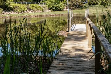 Dock