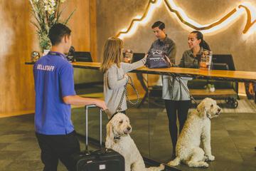 Check-in/check-out kiosk