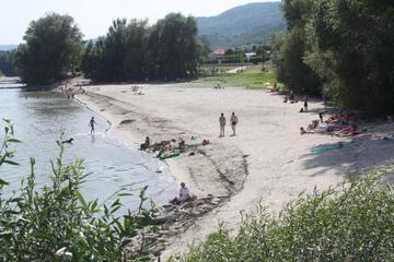 Photo 35
