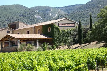 Winery