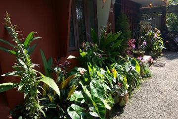 Photo 42