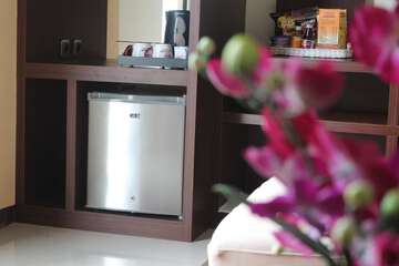 Mini-refrigerator
