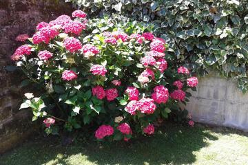 Photo 41