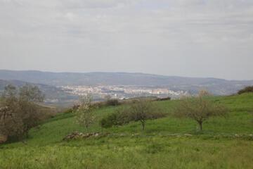 Photo 34