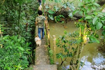 Ecotours