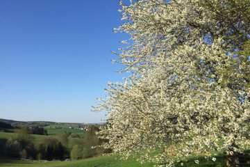 Land view from property