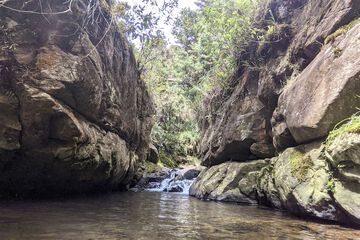 Ecotours