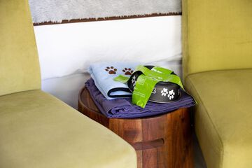 Pet-friendly amenities