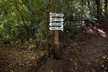Hiking