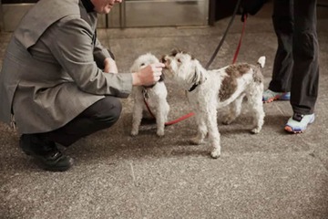 Pet Friendly 122 of 130