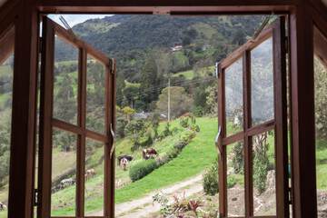 Mountain view