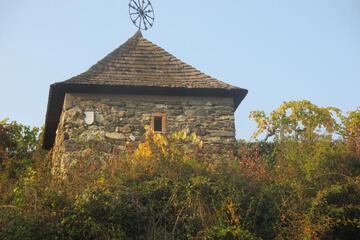 Photo 66