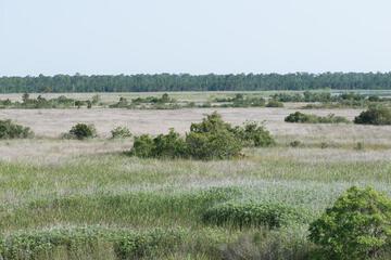 Photo 37