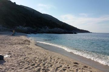 Photo 44