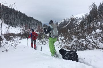 Hiking