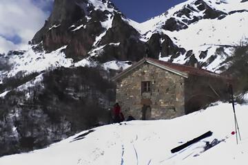 Photo 12