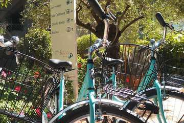 Bicycling