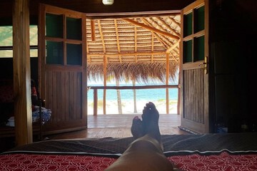 View from room