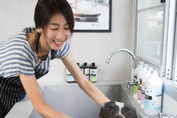 Pet-friendly