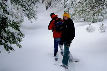 Snowshoeing