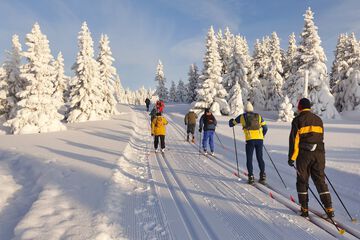 Skiing